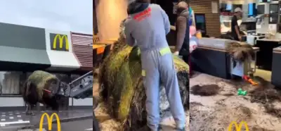 Görüntüler İsrail'e karşı yapılan McDonald’s protestosunu mu gösteriyor?