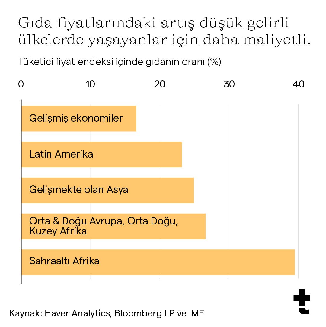 gida fiyatlarindaki artis ulkelere gore maliyet