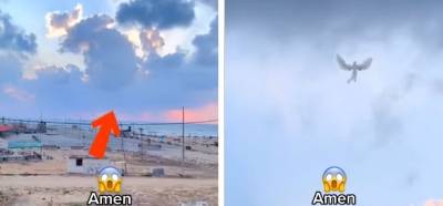 Videonun gökyüzünde süzülen bir meleği gösterdiği iddiası