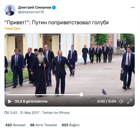guvercin putin