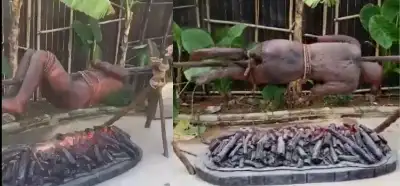 Videonun Haiti’de pişirilen insanları gösterdiği iddiası