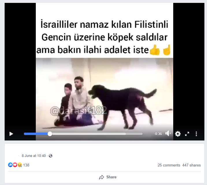 israil filistin kopek iddiasi