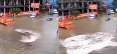 İtalya’da denizin yükselmesi ile ortaya çıkan balina videosu gerçek mi?
