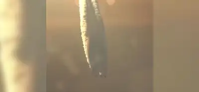 Video kimyasal gaz püskürten bir uçağı mı gösteriyor?