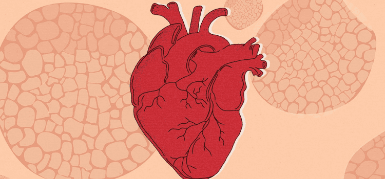 kalp sağlığı iddiaları