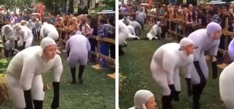 Videonun Fransa’daki ‘koyun insan’ yarışmasını gösterdiği iddiası