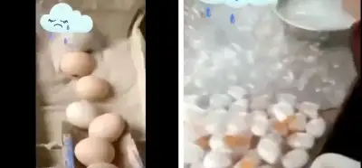 Görüntülerin Çin'deki sahte yumurta üretimini gösterdiği iddiası