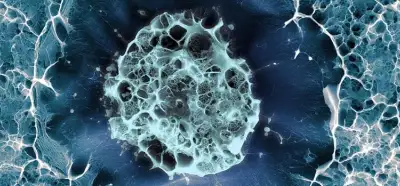 Yumurta ve sperm olmadan gerçek insan embriyosu oluşturulduğu iddiası