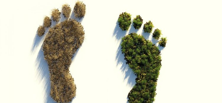 Karbon ayak izi: Şirketler için kullanışlı bir aldatmaca yöntemi