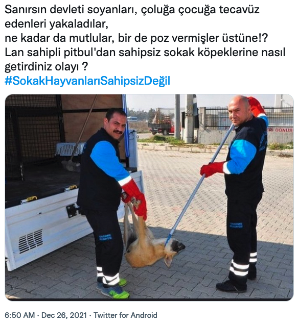 kopek toplama analiz iddia