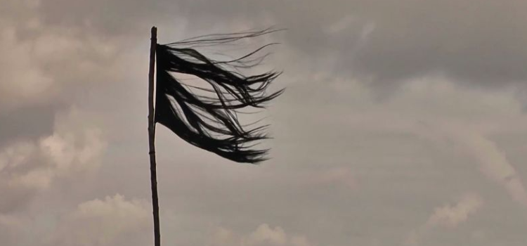 Fotonun Mahsa Amini etirazlarında kəsilən saçlardan hazırlanmış bayrağı göstərdiyi iddiası