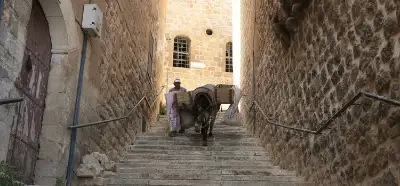 Mardin’in kadrolu eşekleri: Mesaileri beş saate mi indirildi?
