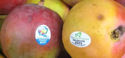 Meyvelerin üzerindeki çıkartmalar ne anlama geliyor?