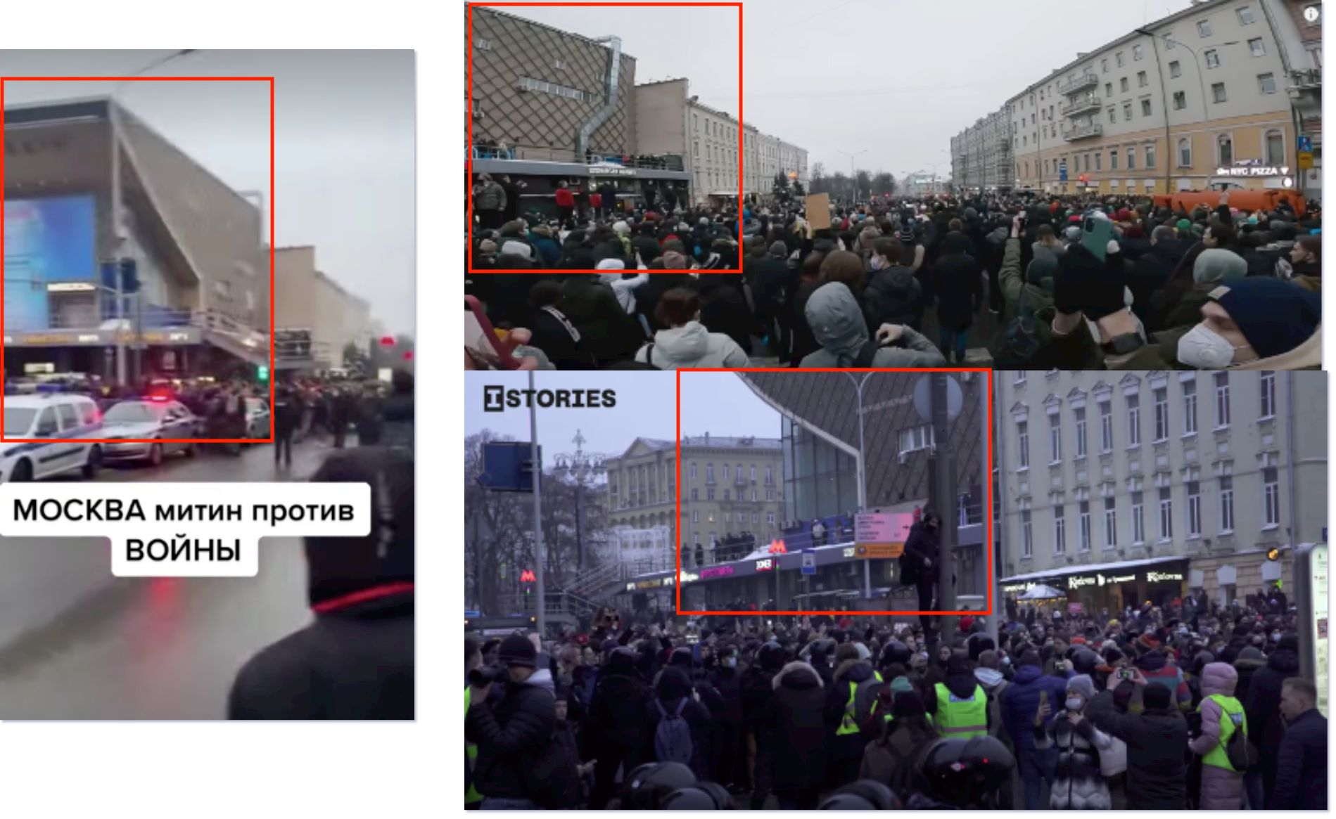 muqayise videonun moskvadaki mitinqi gosterdiyi iddiasi