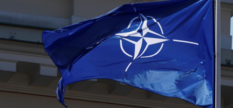 Gürcistan ve Ukrayna’nın NATO üyesi olduğu iddiası