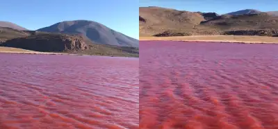Video Nil Nehri'nin kırmızıya döndüğünü mü gösteriyor?