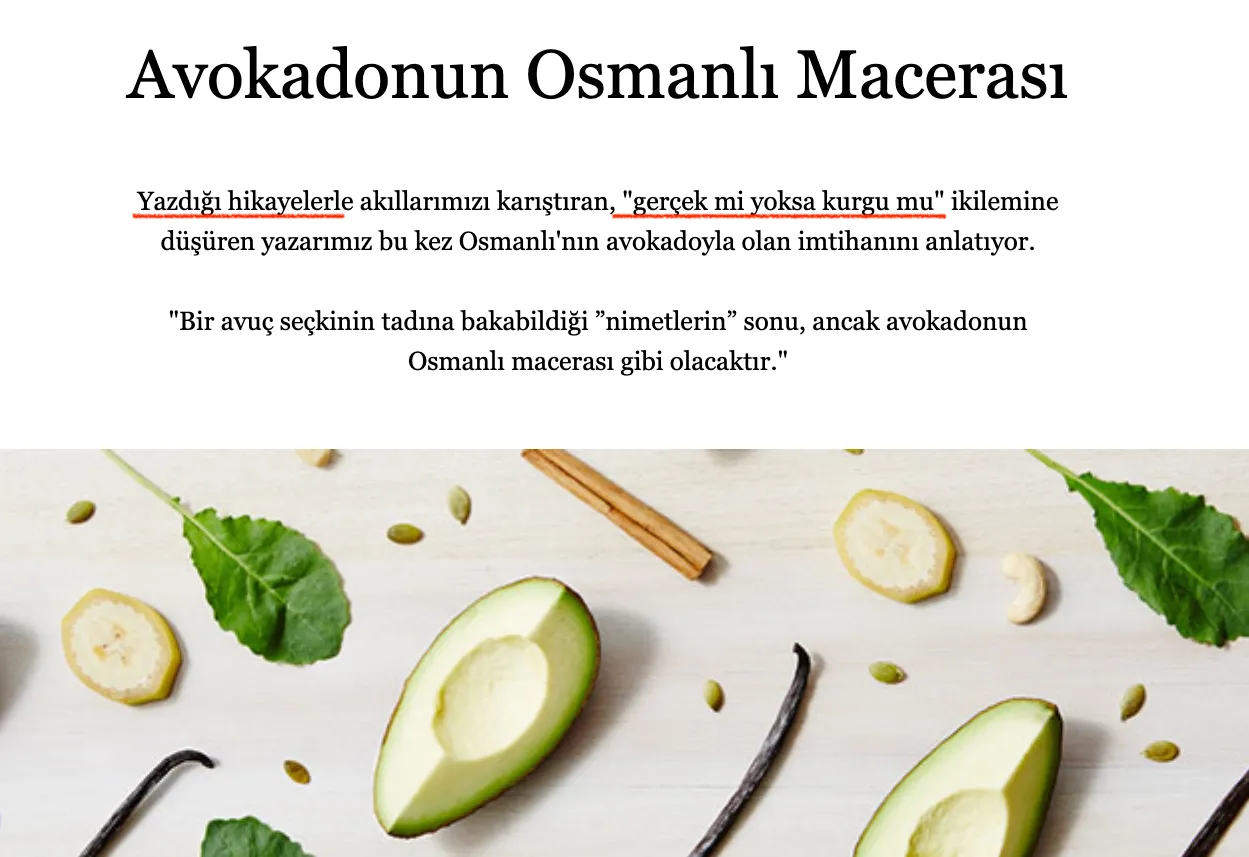 osmanli avokado giris