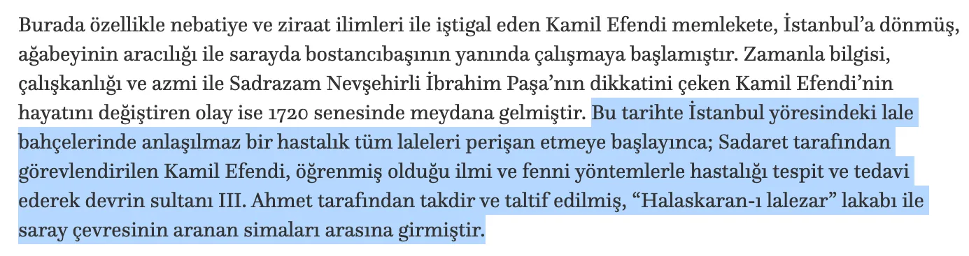 osmanli avokado molla