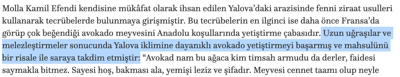 osmanli avokado yalova