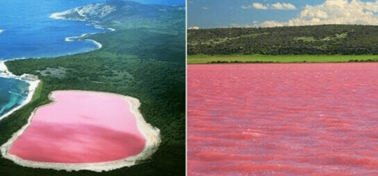 Fotoğrafların Türkiye’deki pembe gölü gösterdiği iddiası