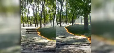 Kontrollü şekilde yakılan park videosu gerçek mi?