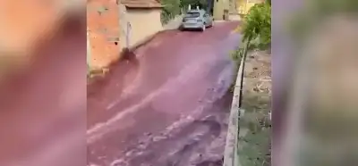 Portekiz'deki bir kasabanın sokaklarında şarap aktığı iddiası