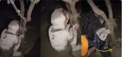 Qəzzada ağaca sarılı tapılan uşaq fotosunun real olması iddiası