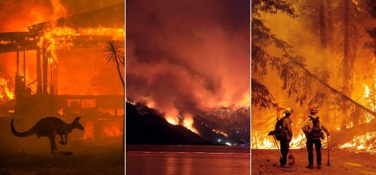 Orman yangınlarında sabotaj iddiaları Türkiye’ye has değil