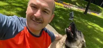 Süleyman Soylu'ya atfedilen sokak hayvanları açıklaması gerçeği yansıtıyor mu?