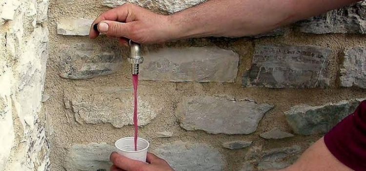 Tekirdağ Şarköy’de köylülerin kendi üzümlerinden şarap çeşmesi yaptırdığı iddiası