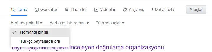 Rehber: Google’da etkili arama yapmak için 7 ek ipucu - Teyit