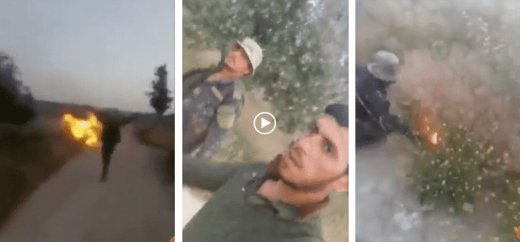 Videonun Türkiyədə baş verən iyul yanğınlarının çıxarıldığı anı göstərdiyi iddiası