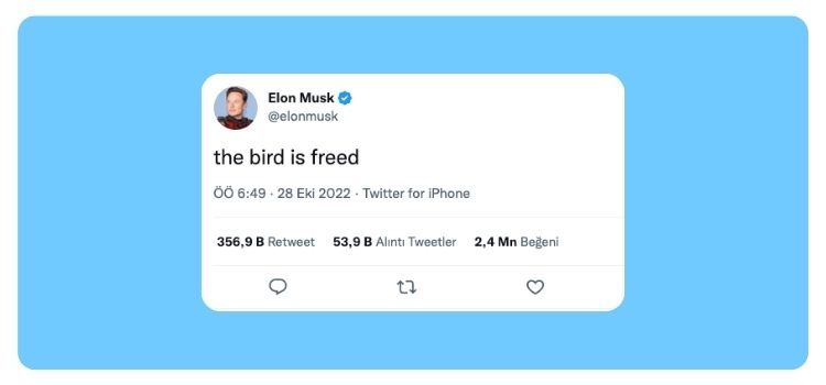 Yeni bir Twitter: İfade özgürlüğünün kıyılarında
