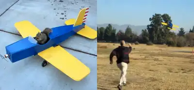 Maket uçağı kaçıran sincap videosu gerçek mi?