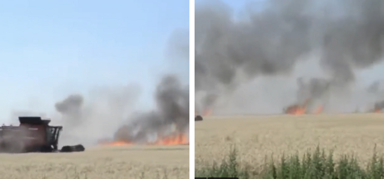 Videonun Ukrayna’daki tarlaların Ruslar tarafından yakıldığını gösterdiği iddiası