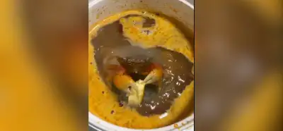 Videodaki yengeç tencerede pişerken ekmek yiyor olabilir mi?