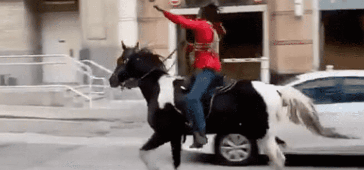 Video ABŞ-da polisin atını oğurlayan bir protestçini göstərmir