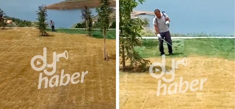 Yozgat Çekerek Millet Bahçesi’ndeki çimlerin yeşile boyandığı iddiası