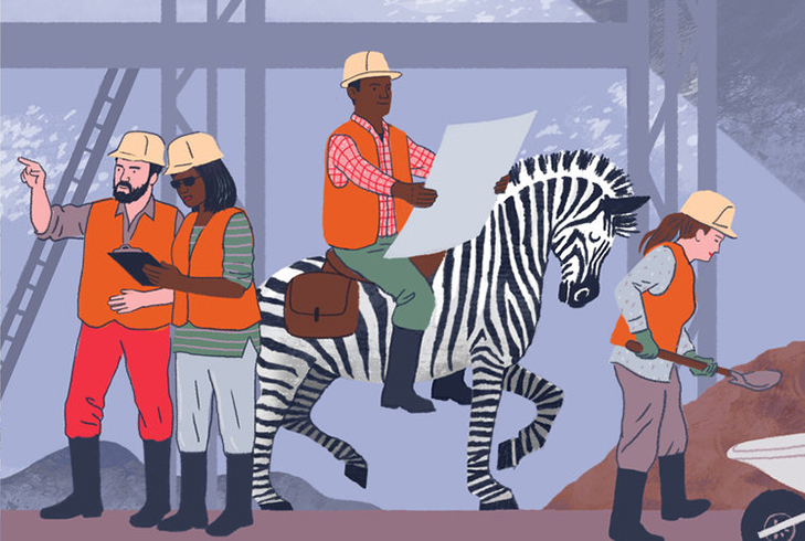 Zebra hareketi: Uzak kuzenden unicornlara alternatif